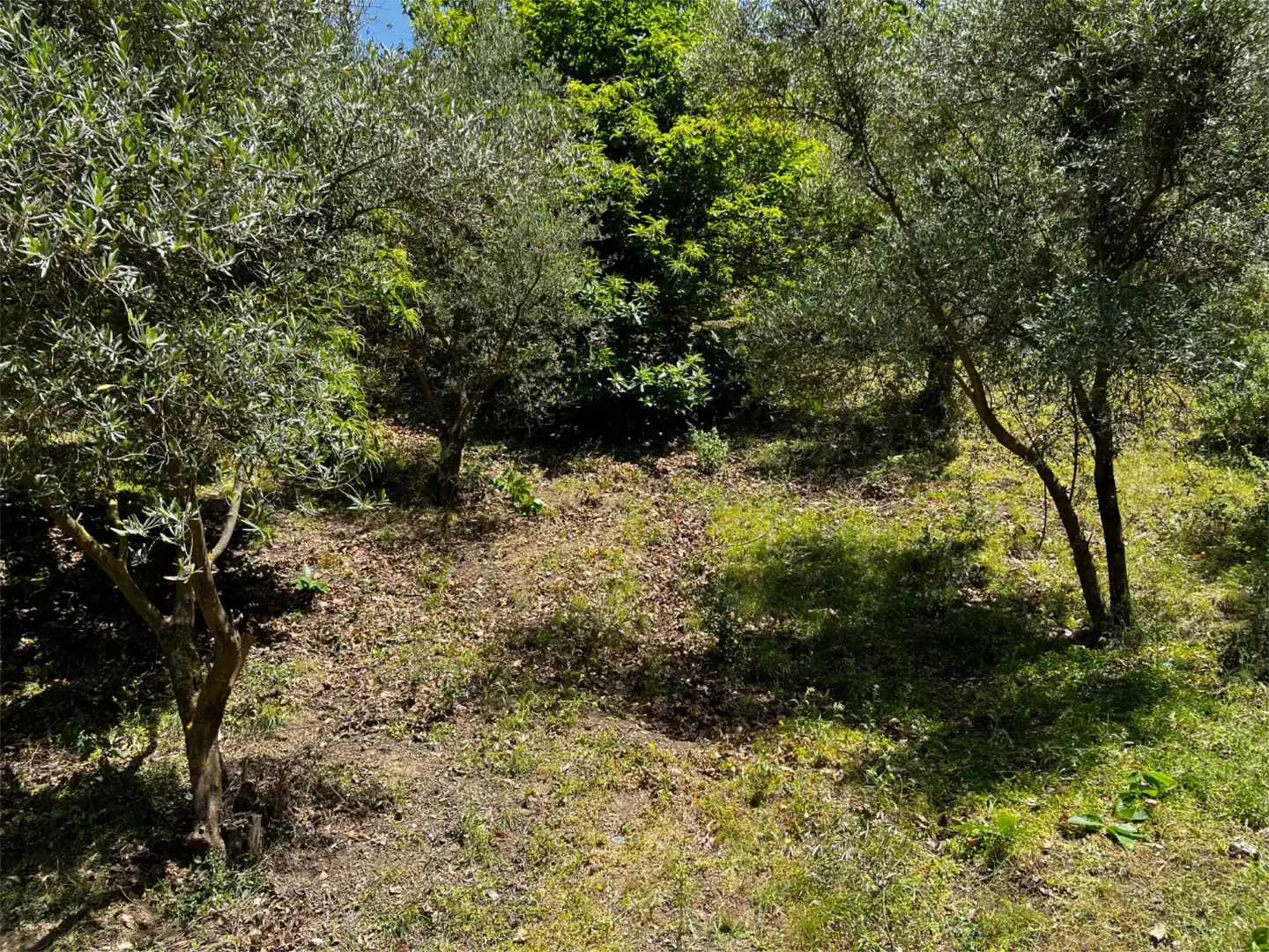 Terreno en venta en Calle del Calvario, 45, Parauta Terreno en venta en Parauta