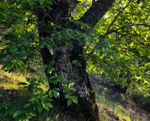 Außenansicht von Grundstücke zum verkauf in Parauta