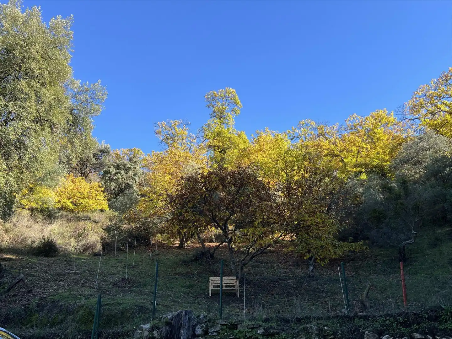 Terreno en venta en Calle del Calvario, 45, Parauta Terreno en venta en Parauta