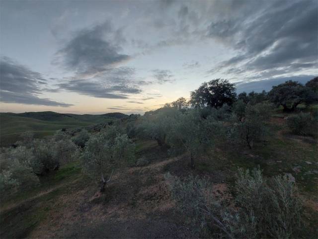 Planta baja en Alquiler en La Carolina