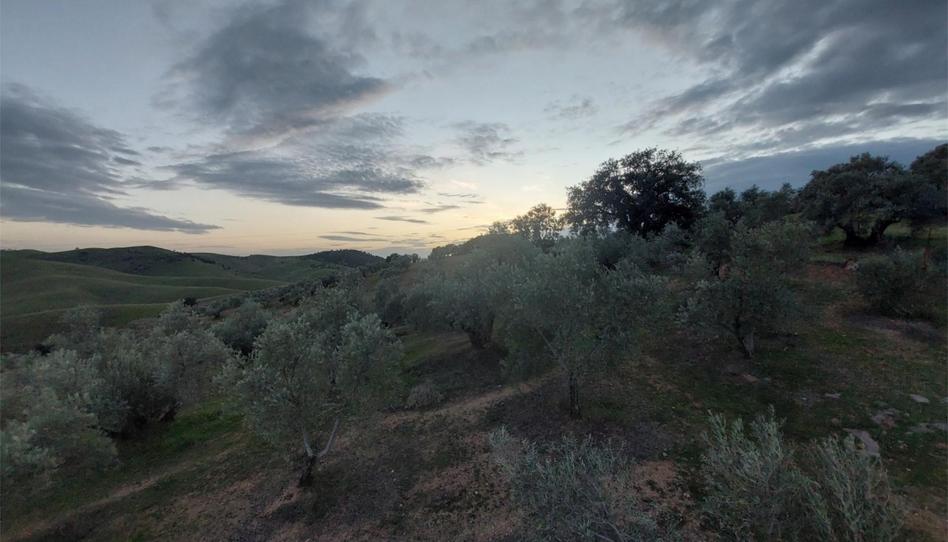 Photo 1 of Planta baja to rent in La Carolina, Jaén