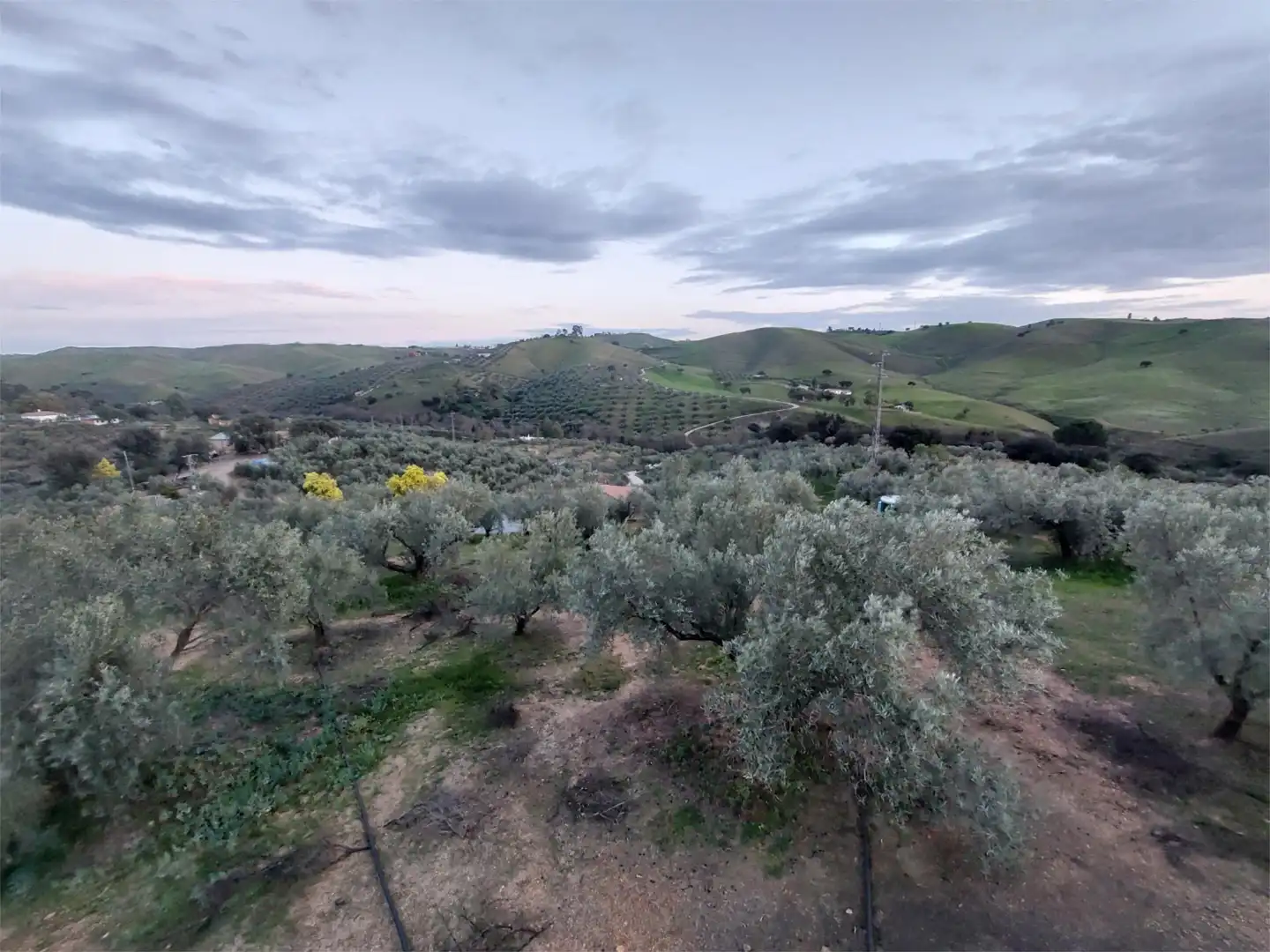 Planta baja de alquiler en La Carolina con Aire acondicionado, Calefacción y Jardín privado