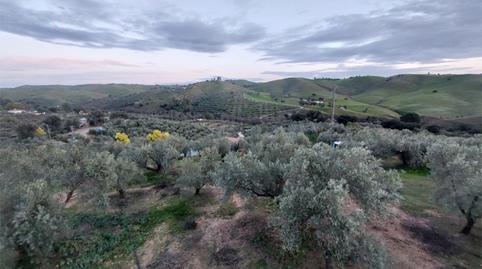 Photo 2 of Planta baja to rent in La Carolina, Jaén