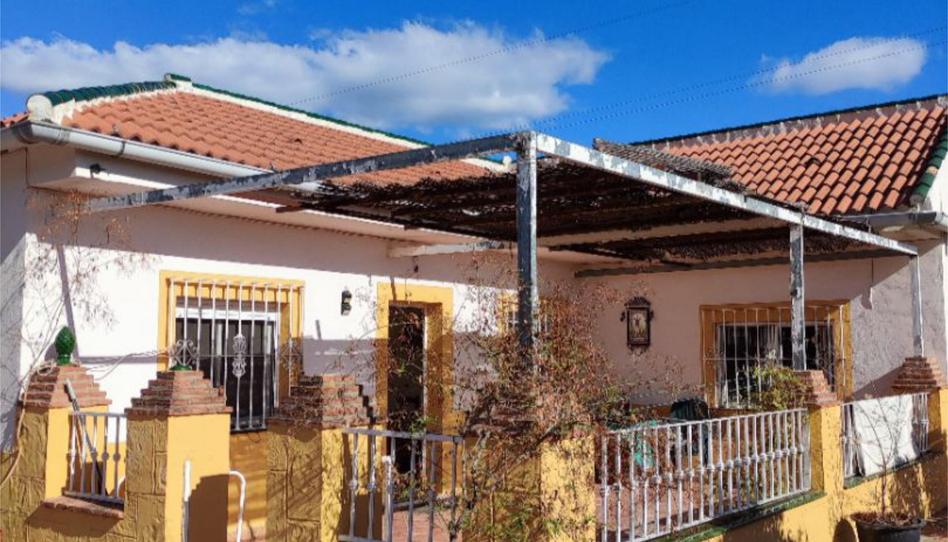 Finca rústica en venda a Calle Rincon, 18, Almogía, Málaga - imatge 1 Foto 1 de Finca rústica en venda a Calle Rincon, 18, Almogía, Málaga