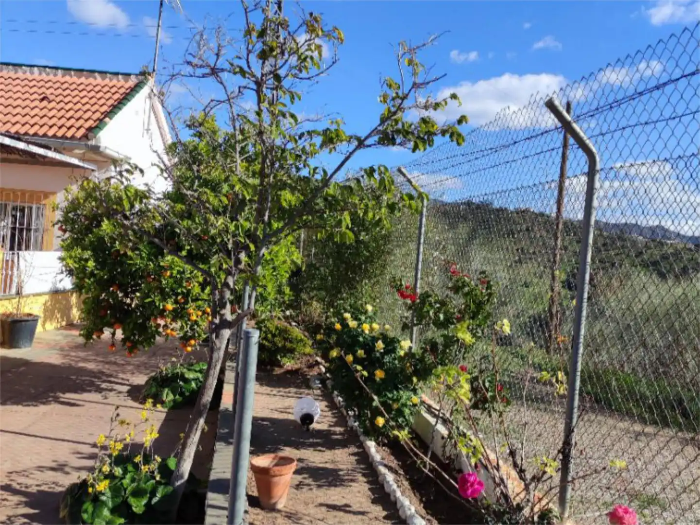 Finca rústica en venda a Calle Rincon, 18, Almogía Jardí de Finca rústica en venda en Almogía amb Terrassa i Piscina