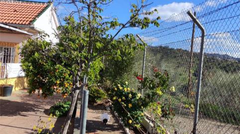 Finca rústica en venda a Calle Rincon, 18, Almogía, Málaga - imatge 3 Foto 3 de Finca rústica en venda a Calle Rincon, 18, Almogía, Málaga