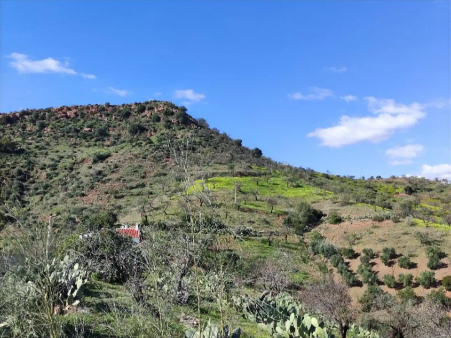 Finca rústica en venda a Calle Rincon, 18, Almogía Finca rústica en venda en Almogía amb Terrassa i Piscina