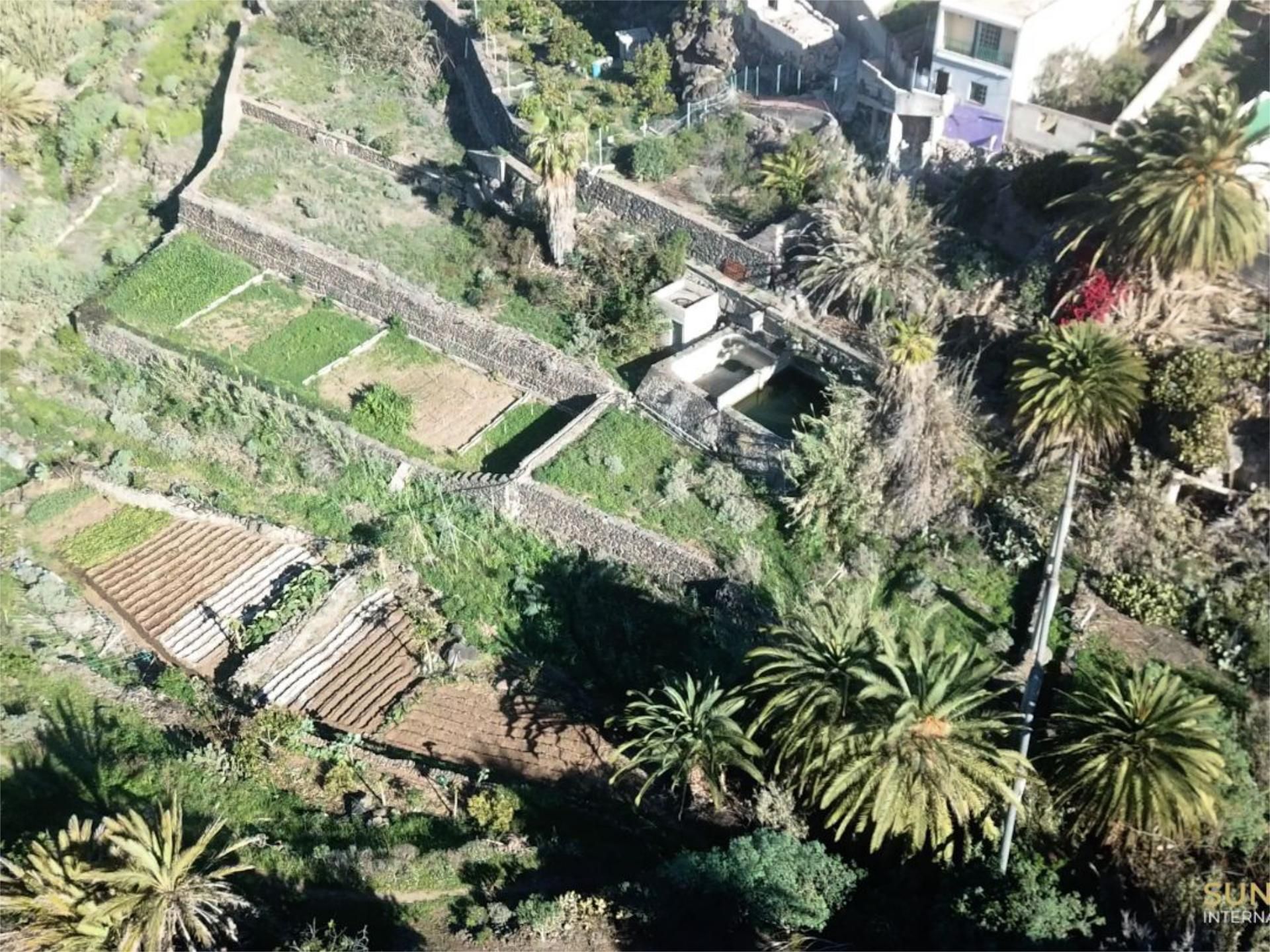 Garden of Land for sale in Buenavista del Norte