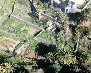 Jardí de No Urbanitzable en venda en Buenavista del Norte