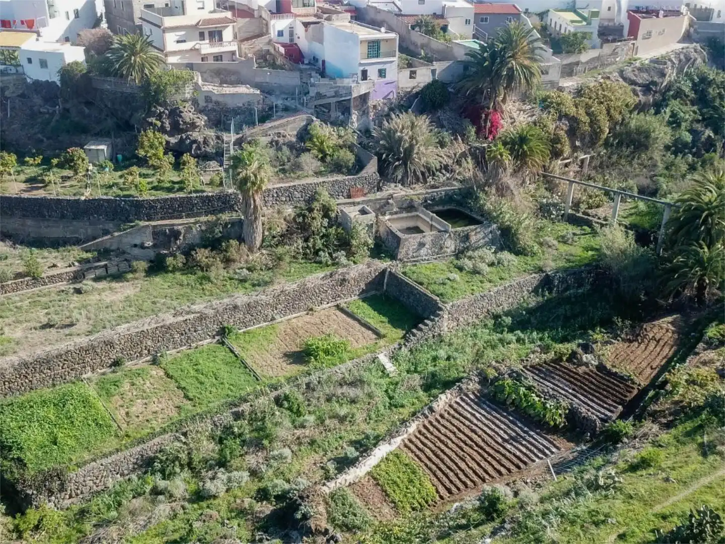 Land for sale in Calle San Antonio, 37, Buenavista del Norte Garden of Land for sale in Buenavista del Norte