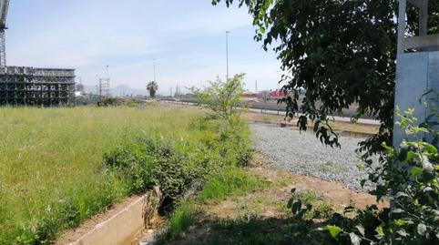 No Urbanitzable en venda a Camí Vell de la Mar, 17, Rafalafena, Castellón - imatge 4 Foto 4 de No Urbanitzable en venda a Camí Vell de la Mar, 17, Rafalafena, Castellón