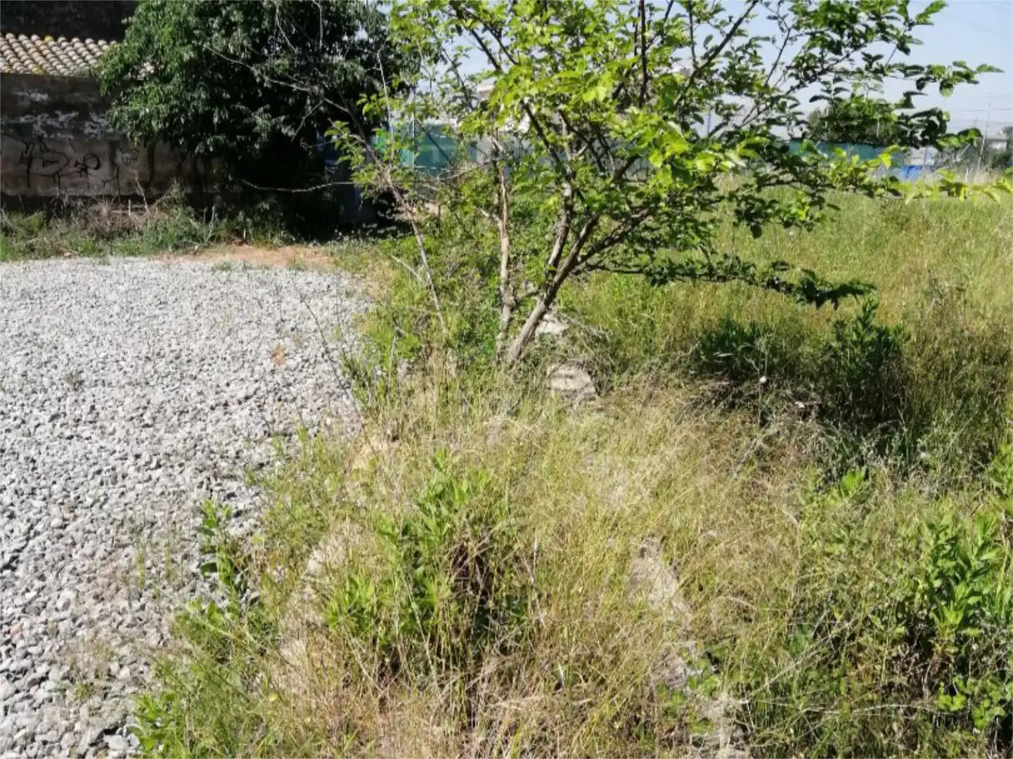 No Urbanitzable en venda en Castellón de la Plana / Castelló de la Plana