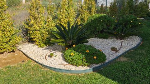 House or chalet for sale in Calle de Los Picapinos, 35c, Isla Canela, Huelva - image 4 Photo 4 of House or chalet for sale in Calle de Los Picapinos, 35c, Isla Canela, Huelva