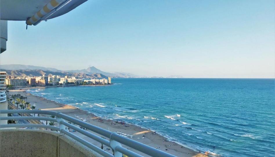 Pis de lloguer a Avenida Jaime I el Conquistador, 72, Playa Muchavista, El Campello - imatge 1 Foto 1 de Pis de lloguer a Avenida Jaime I el Conquistador, 72, Playa Muchavista, El Campello