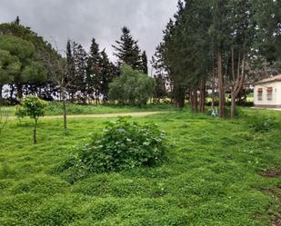 Casa o xalet en venda en Puerto Real amb Calefacció, Jardí privat i Terrassa