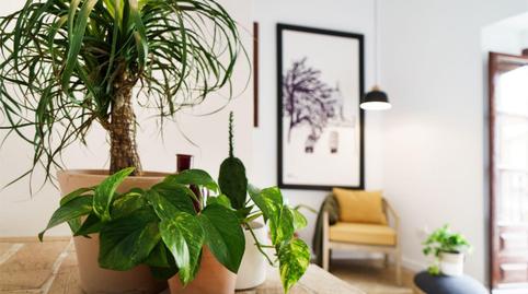 Foto 5 de Casa adosada en venta en Sta. Marina - San Andrés - San Pablo - San Lorenzo, Córdoba