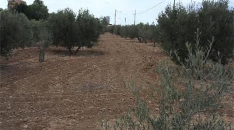 Foto 5 de Pis en venda a Autovía de Murcia, 582, Cieza, Murcia