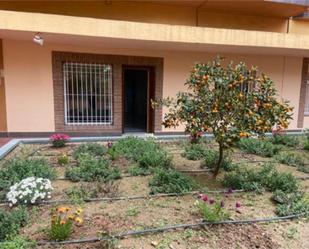 Jardí de Oficina de lloguer en  Granada Capital amb Aire condicionat