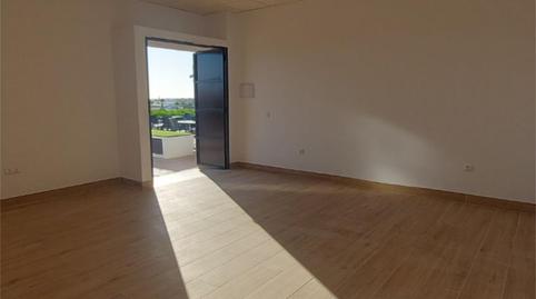 Premises for sale in Loma Martín Miguel, 1905, Martín Miguel, Cádiz - image 3 Photo 3 of Premises for sale in Loma Martín Miguel, 1905, Martín Miguel, Cádiz