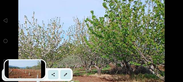 Terreno no urbanizable en Venta en Calle Rollo, 18 en Torre de Don Miguel