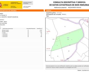 Non-constructible Land for sale in Sagunto / Sagunt