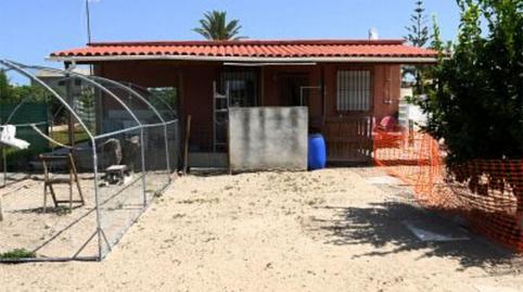 Foto 4 de Finca rústica en venta en Partida Devesa, 48, Oliva Nova, Valencia