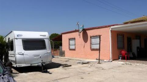 Foto 5 de Finca rústica en venta en Partida Devesa, 48, Oliva Nova, Valencia