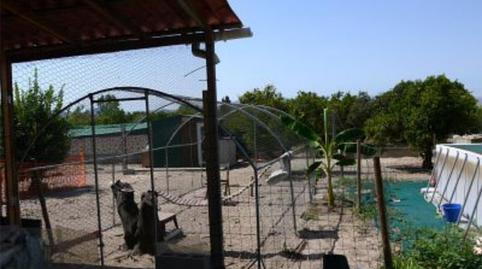 Foto 3 de Finca rústica en venta en Partida Devesa, 48, Oliva Nova, Valencia