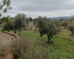 Country house zum verkauf in Cervià de Les Garrigues mit Terrasse