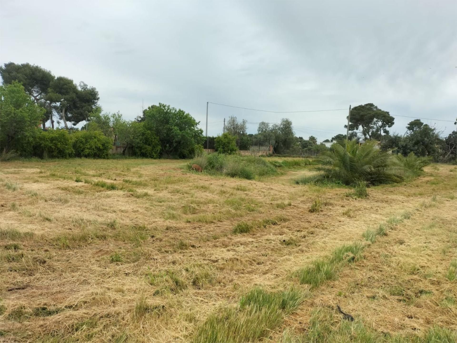 Constructible Land for sale in Bétera