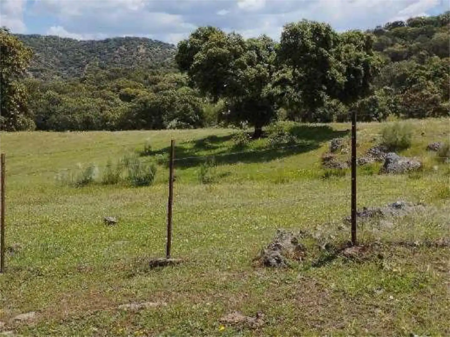 No Urbanitzable en venda en Montemolín