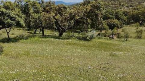 Foto 3 de No Urbanizable en venta en Ex-103, 10, Montemolín, Badajoz