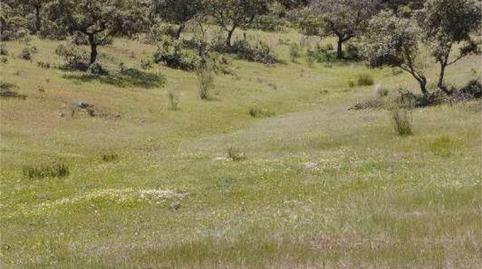 Foto 4 de No Urbanizable en venta en Ex-103, 10, Montemolín, Badajoz