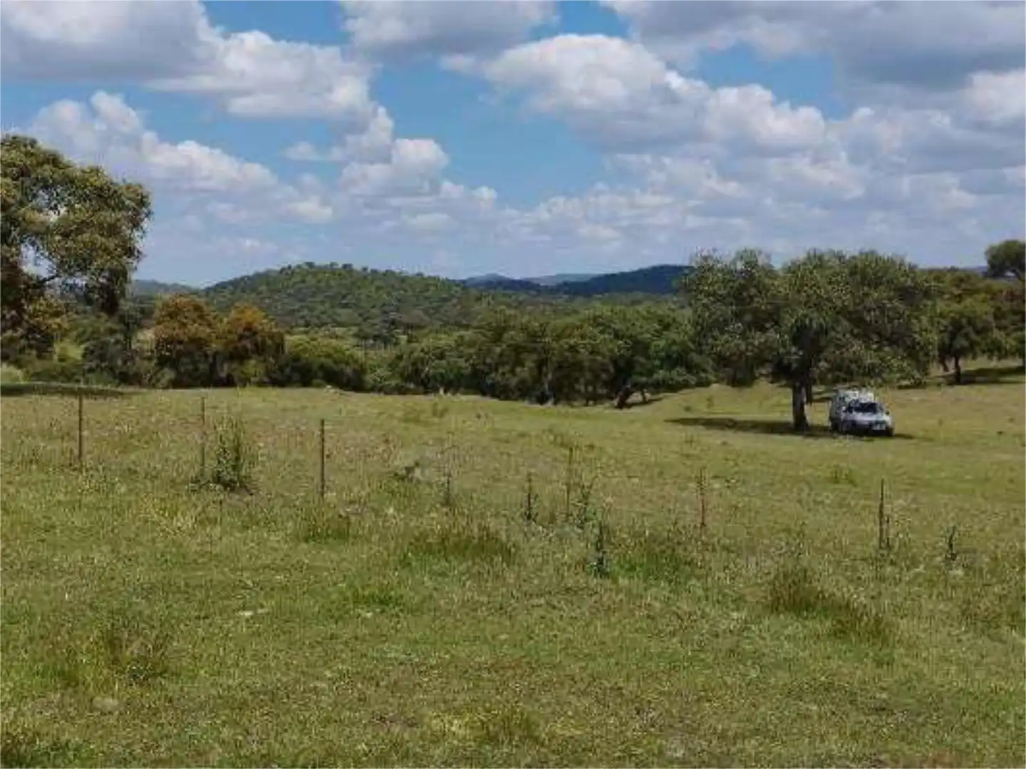 No Urbanitzable en venda en Montemolín