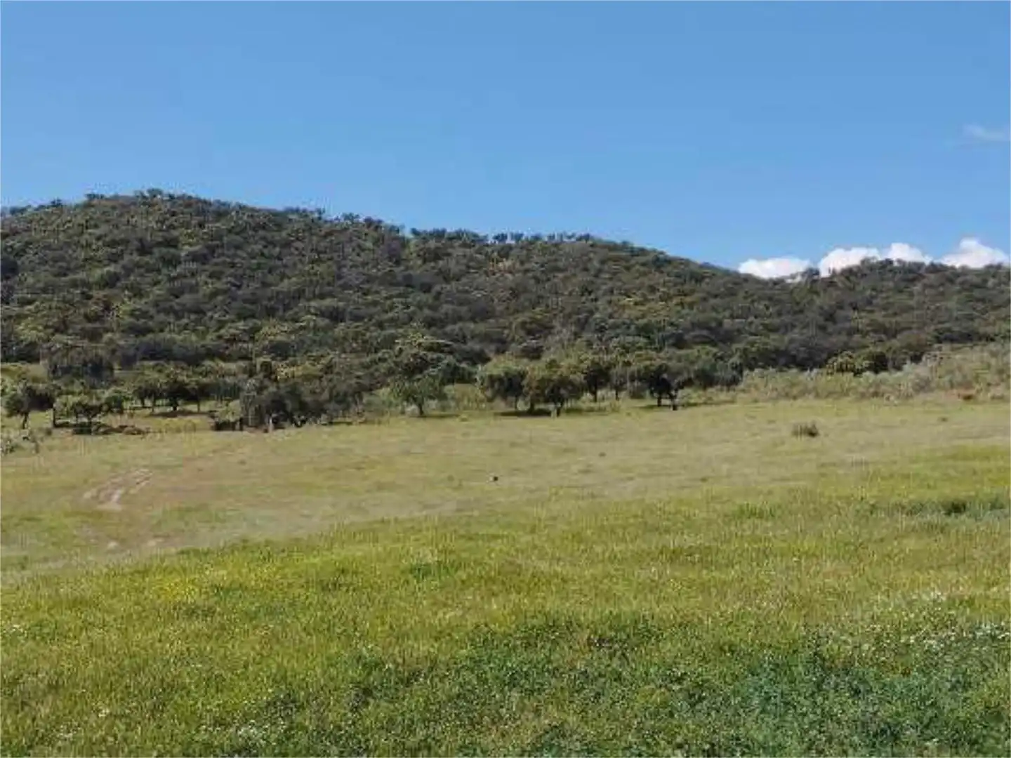 No Urbanitzable en venda en Montemolín