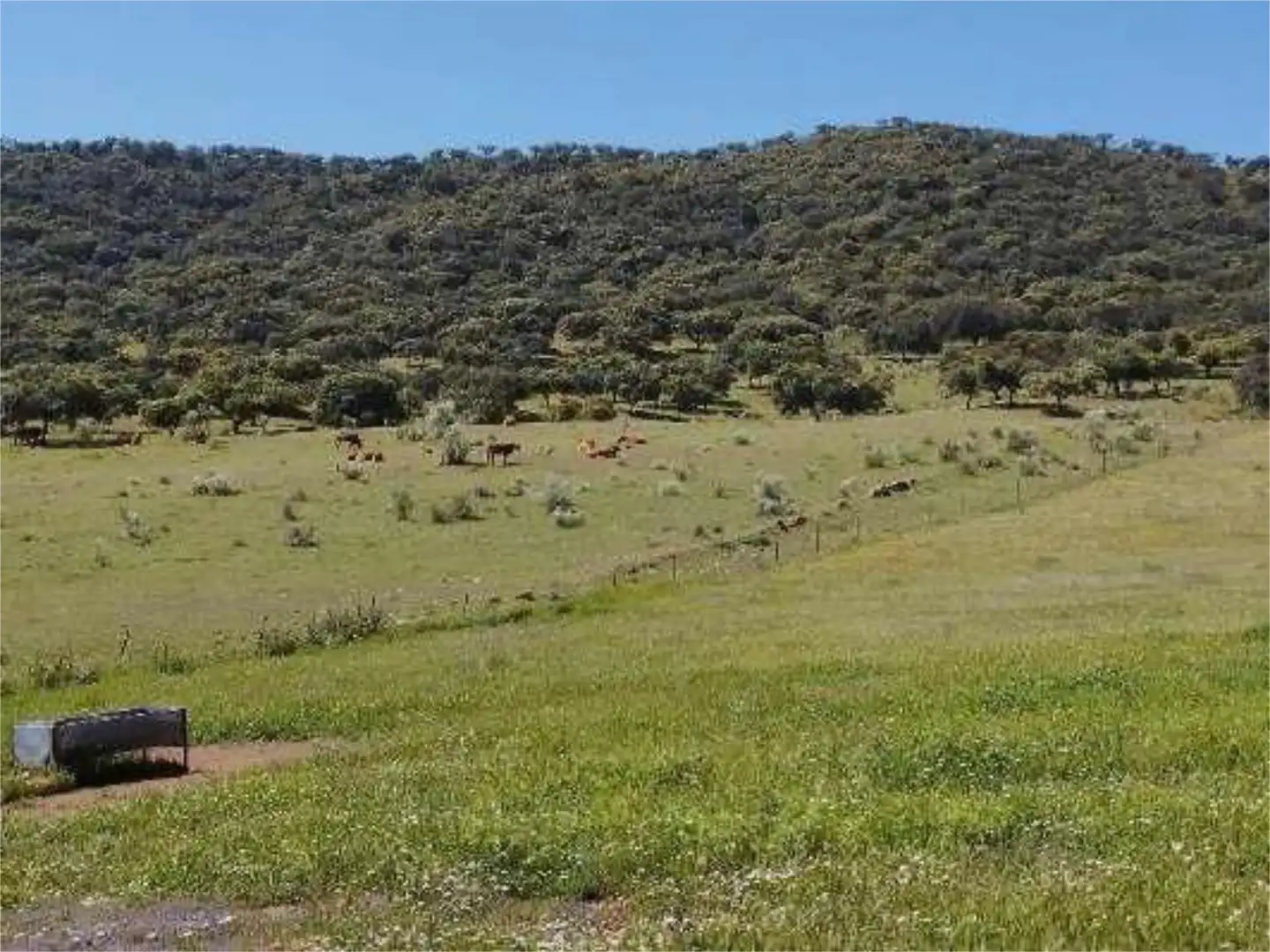 No Urbanitzable en venda en Montemolín