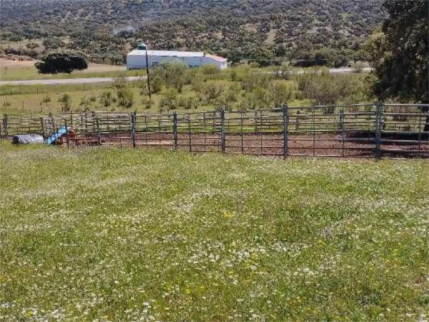 No Urbanitzable en venda en Montemolín