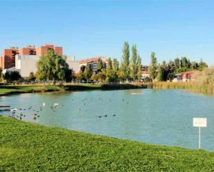 Exterior view of Flat to rent in Laguna de Duero