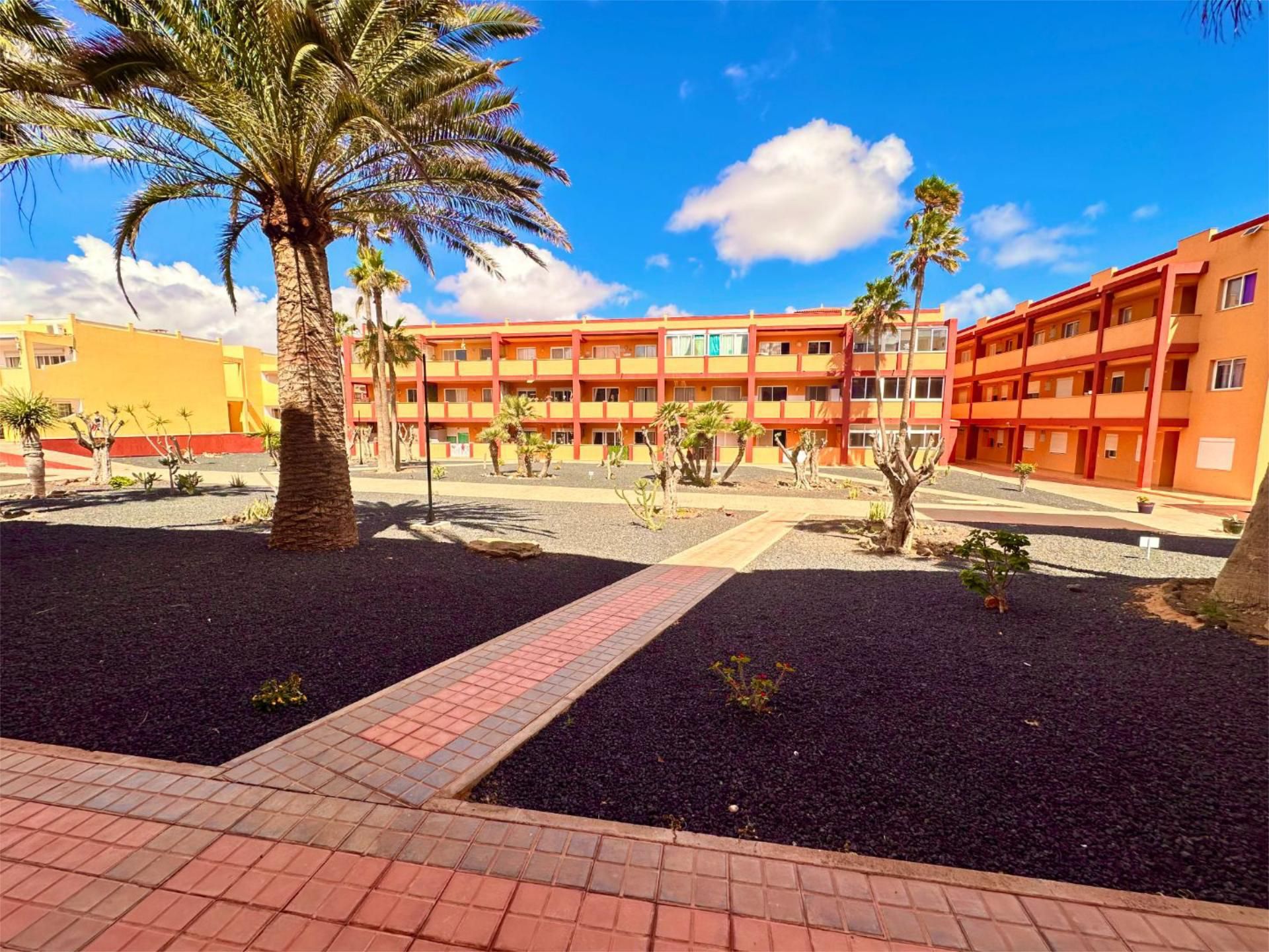 Exterior view of Flat for sale in La Oliva  with Parquet flooring, Terrace and Swimming Pool