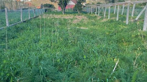 Non-constructible Land for sale in Travesía Nogueirido, 3, Bamio, Pontevedra - image 4 Photo 4 of Non-constructible Land for sale in Travesía Nogueirido, 3, Bamio, Pontevedra