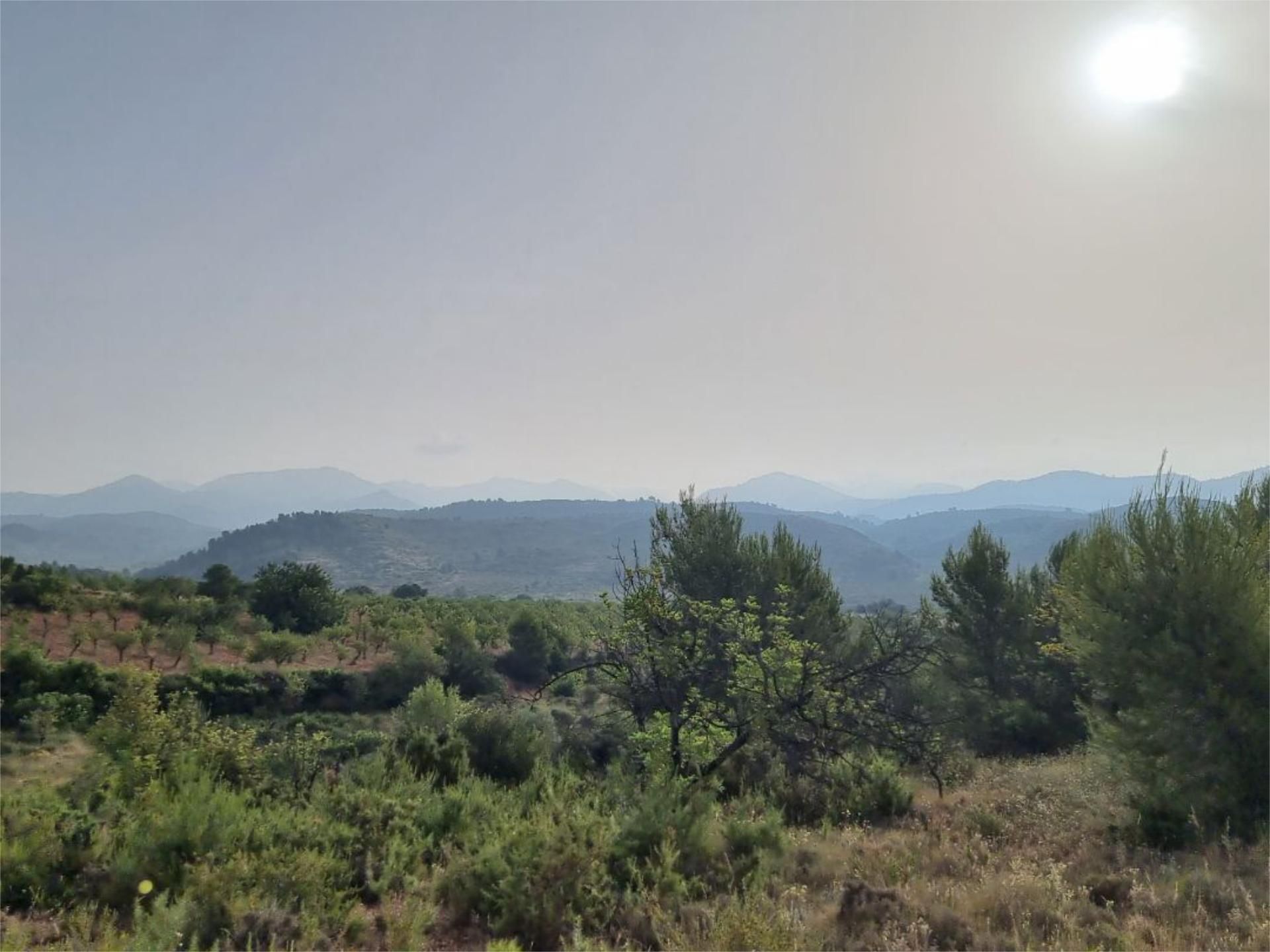Land for sale in Geldo