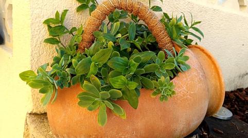 Photo 3 of House or chalet to share in Estrada Da Guia, 193, Moaña, Pontevedra