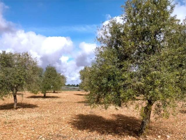 Terreno no urbanizable en Venta en Calle Emilio Castelar, 5 en Villarrobledo