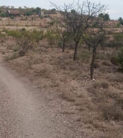 Foto 2 de Finca rústica en venda a Diseminado Cueva, 4, Carrascoy - La Murta, Murcia