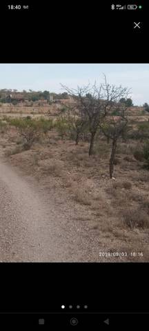 Finca rústica en Venta en Diseminado Cueva, 4 en Carrascoy - La Murta