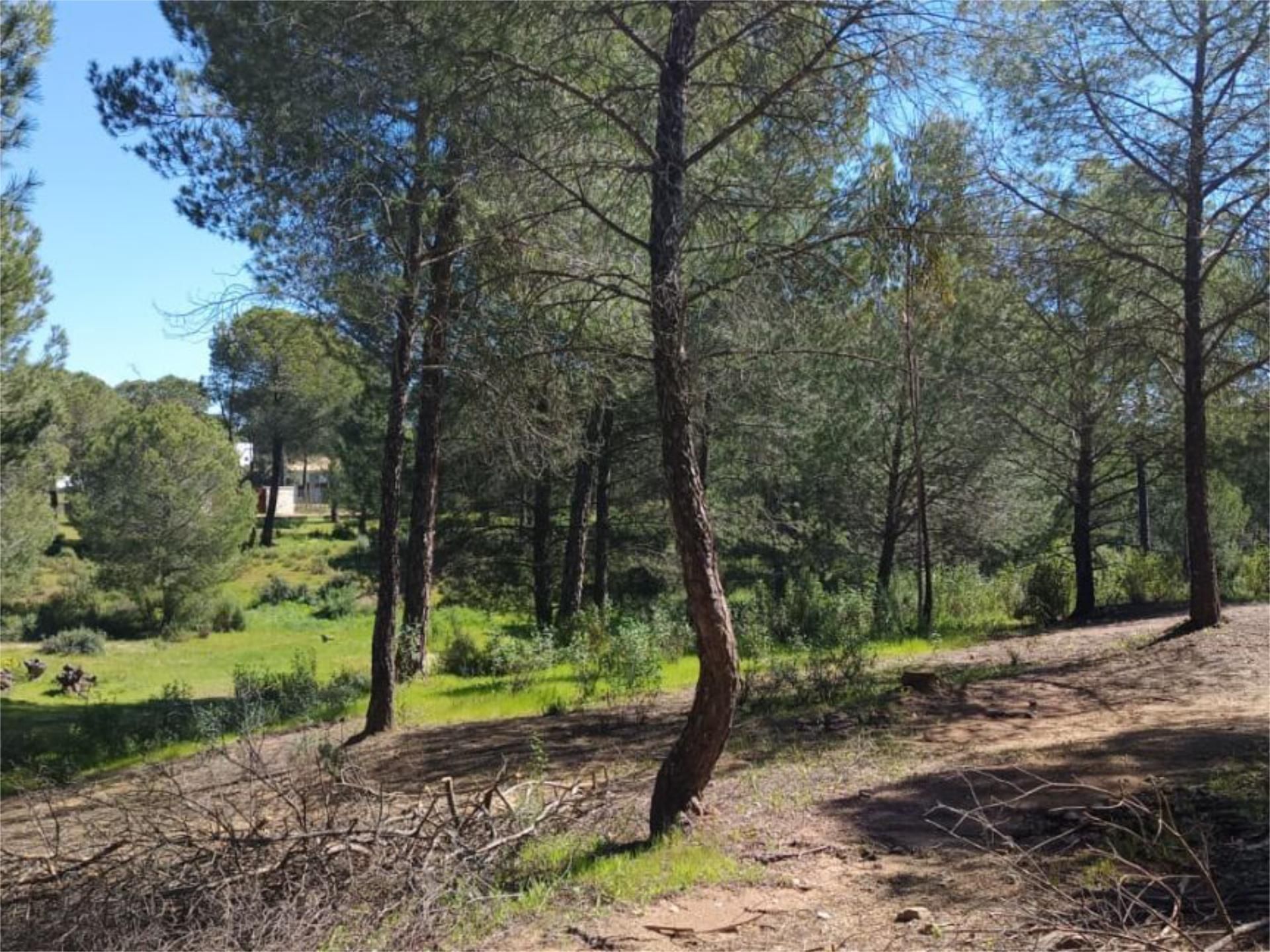 No Urbanitzable en venda en Valverde del Camino
