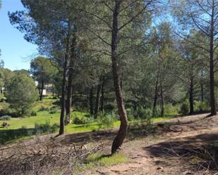 Non-constructible Land for sale in Valverde del Camino