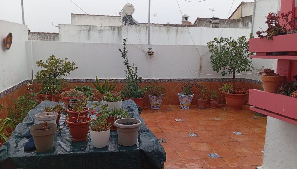 Casa adosada en venta en Calle Peru, 40, Morón de la Frontera, Sevilla - imagen 1 Foto 1 de Casa adosada en venta en Calle Peru, 40, Morón de la Frontera, Sevilla