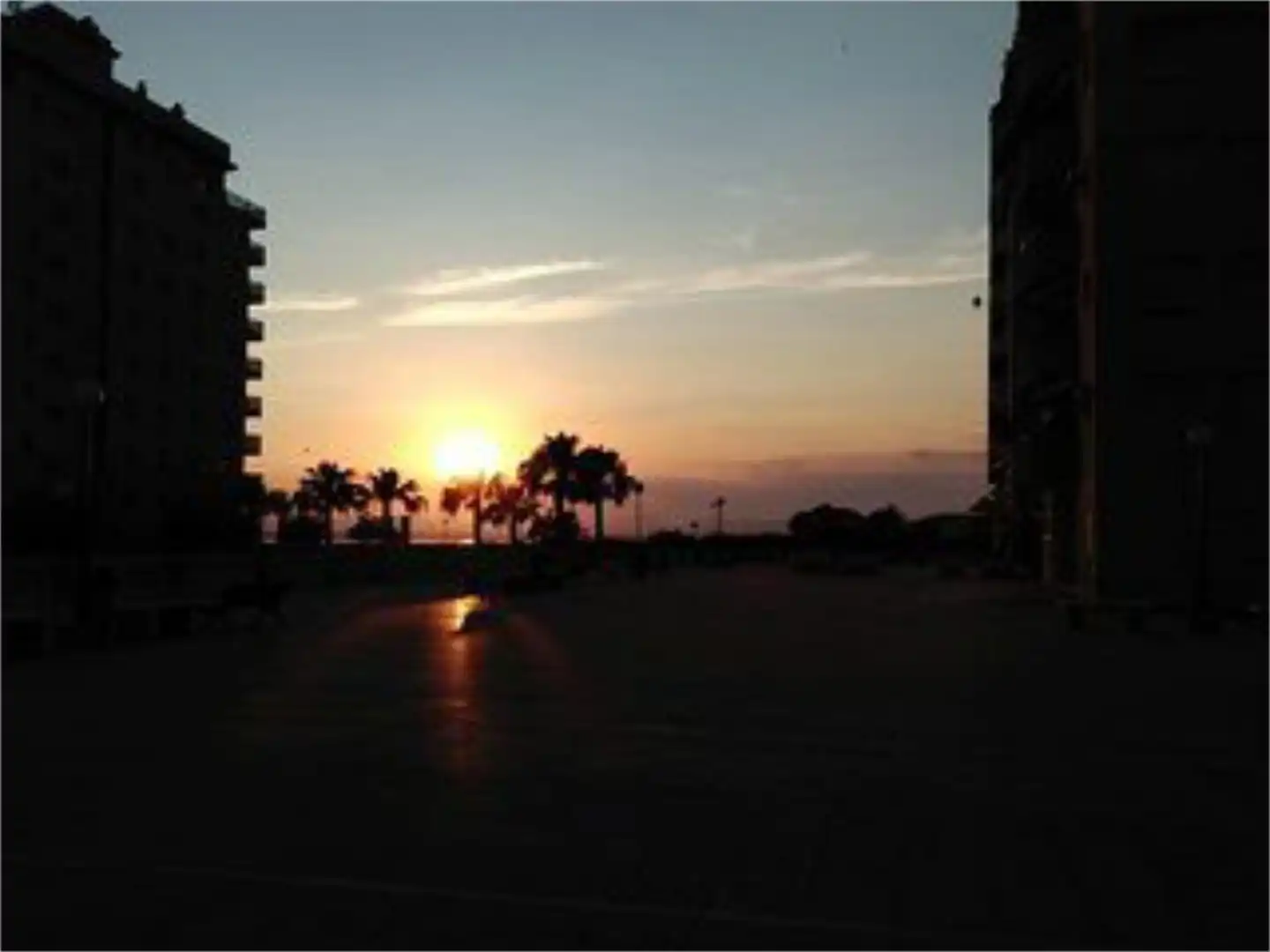 Piso de alquiler en Gran Vía de la Manga, Veneziola Piso de alquiler en Gran Vía de la Manga, Veneziola