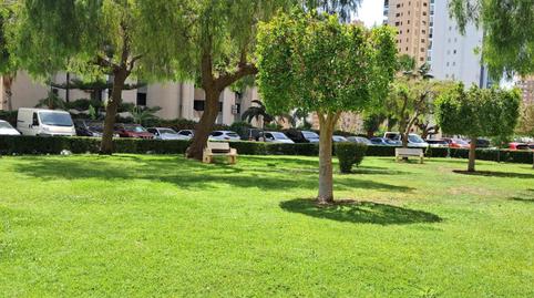 Premises for sale in Avenue Avenida de Europa, 29, Levante Alto, Benidorm - image 3 Photo 3 of Premises for sale in Avenue Avenida de Europa, 29, Levante Alto, Benidorm